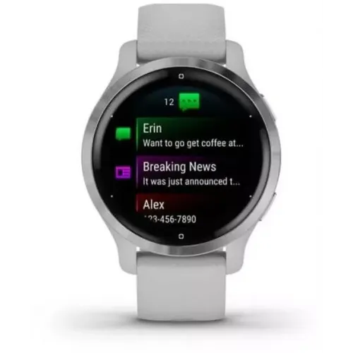 Умные часы Garmin Venu 2S (нержавеющая сталь/серый)