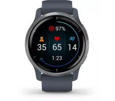 Умные часы Garmin Venu 2 (нержавеющая сталь/синий гранит)