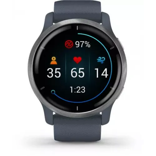 Умные часы Garmin Venu 2 (нержавеющая сталь/синий гранит)