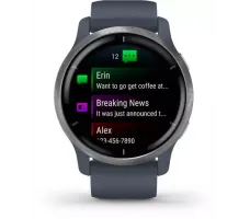 Умные часы Garmin Venu 2 (нержавеющая сталь/синий гранит)