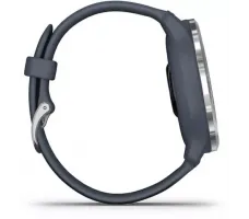 Умные часы Garmin Venu 2 (нержавеющая сталь/синий гранит)