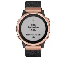 Умные часы Garmin Fenix 6S Sapphire 42mm (010-02159-37)