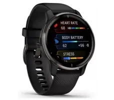 Умные часы Garmin Venu 2 Plus (черный)