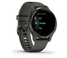 Умные часы Garmin Venu 2S (сланцевая нержавеющая сталь/черный)