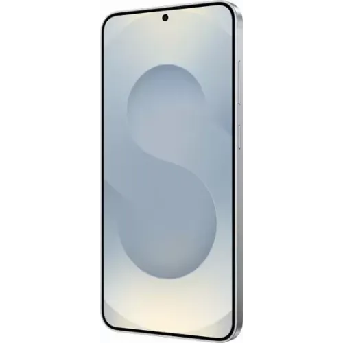 Смартфон Samsung Galaxy S25 SM-S931B 12GB/256GB (серый)