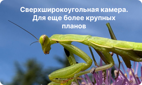 Сверхширокоугольная камера с автофокусом - больше света и деталей 