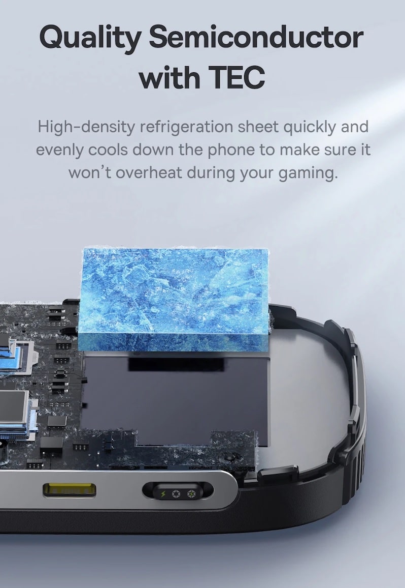 встроенный чип